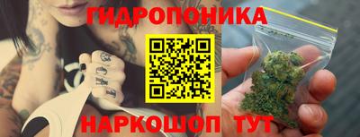 МДПВ Пушкино