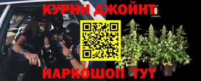МДПВ Пушкино