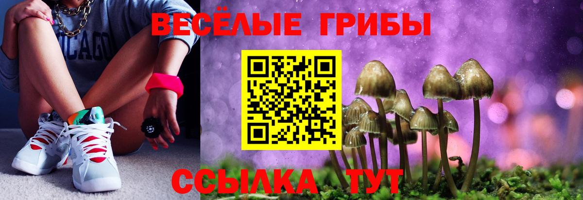 Тамбов  Галлюциногенные грибы Cubensis  Вход с VPN 