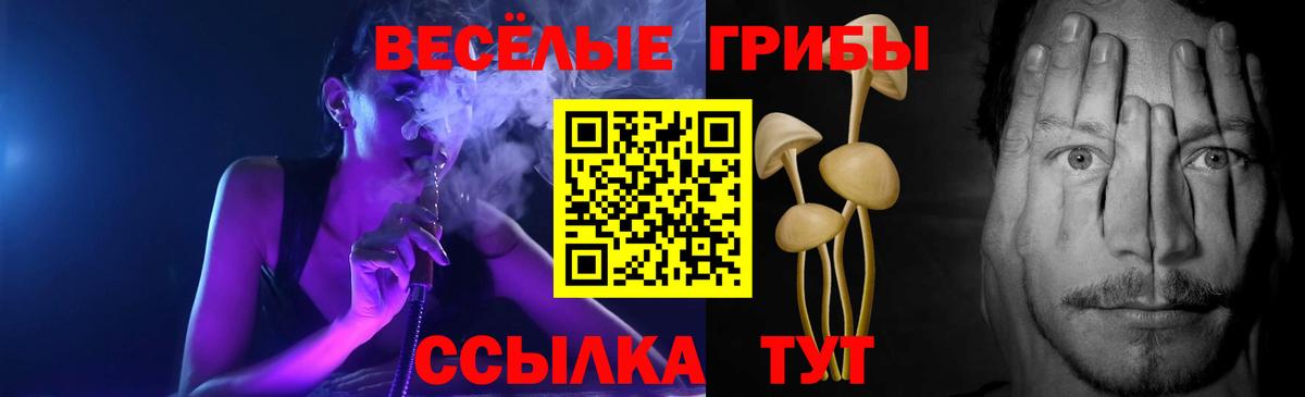 Псилоцибиновые грибы MAGIC MUSHROOMS Тамбов